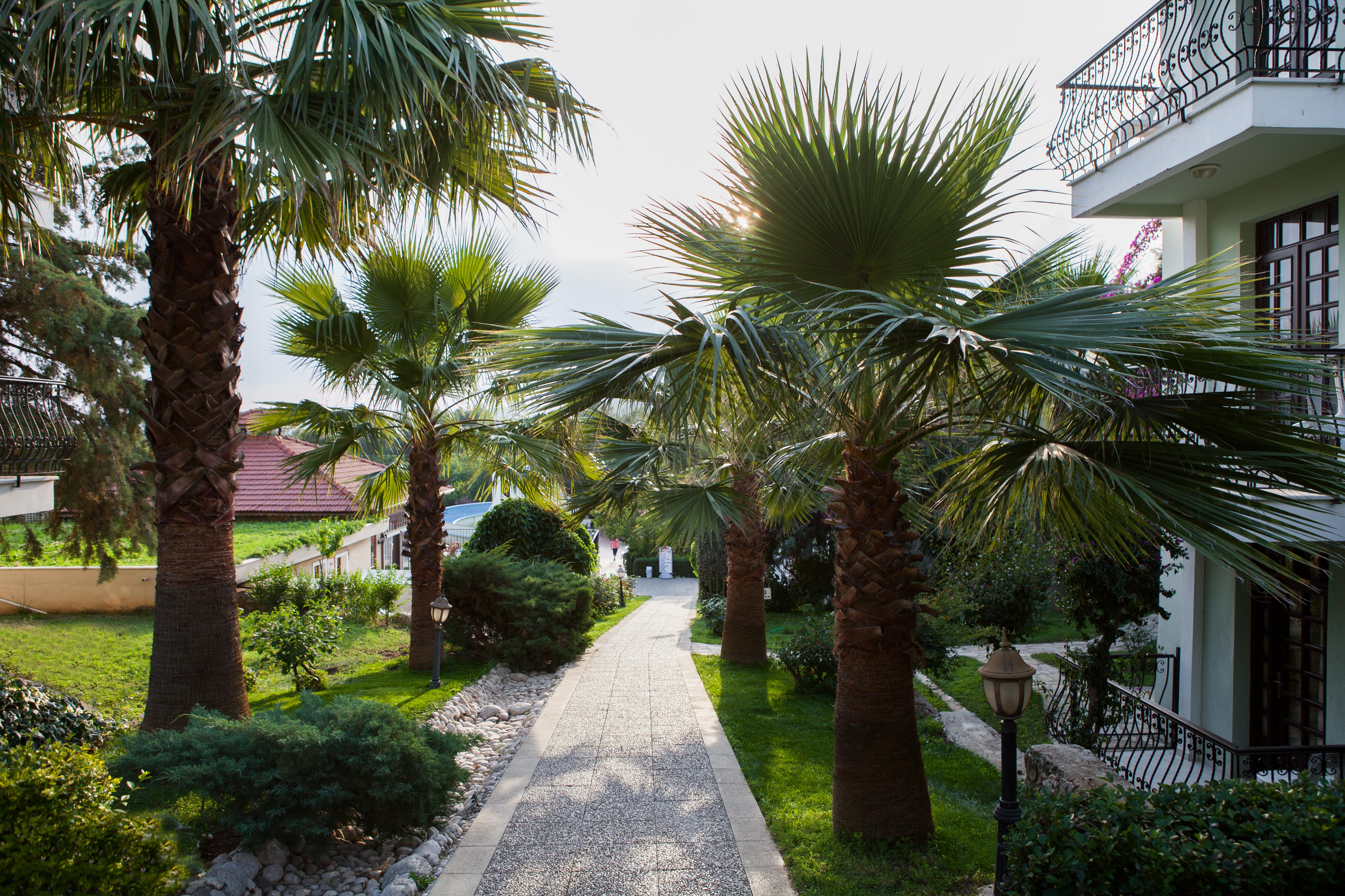 Hotel Greenland Ölüdeniz Extérieur photo
